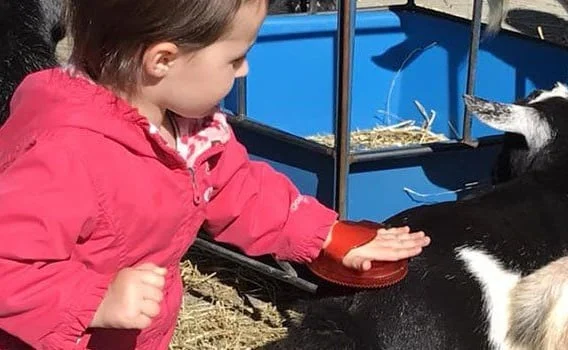 A young girl playing caring for pets at Bay Country-A Early learning center Annapolis MD